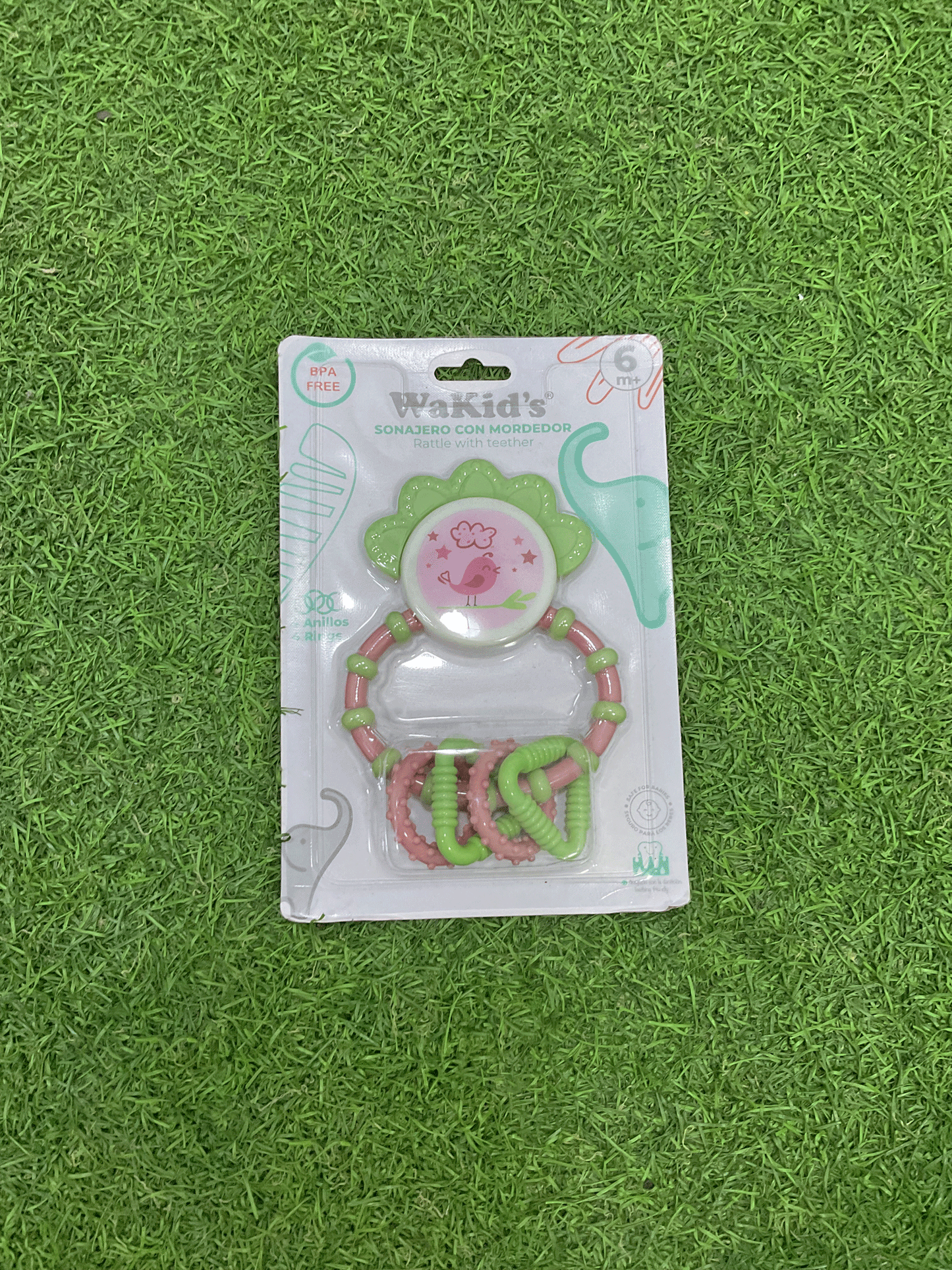 RASCA ENCIAS - A77765