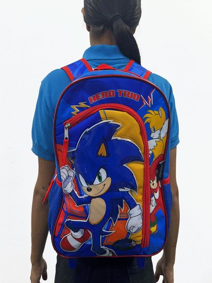 BOLSO TIPO MALETA - SXRSNP1010