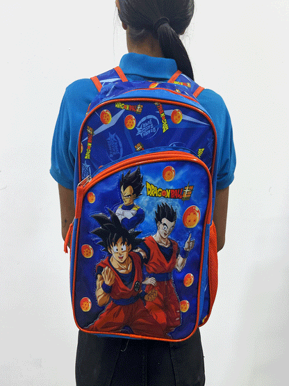 BOLSO TIPO MALETA - TXRDBP2345