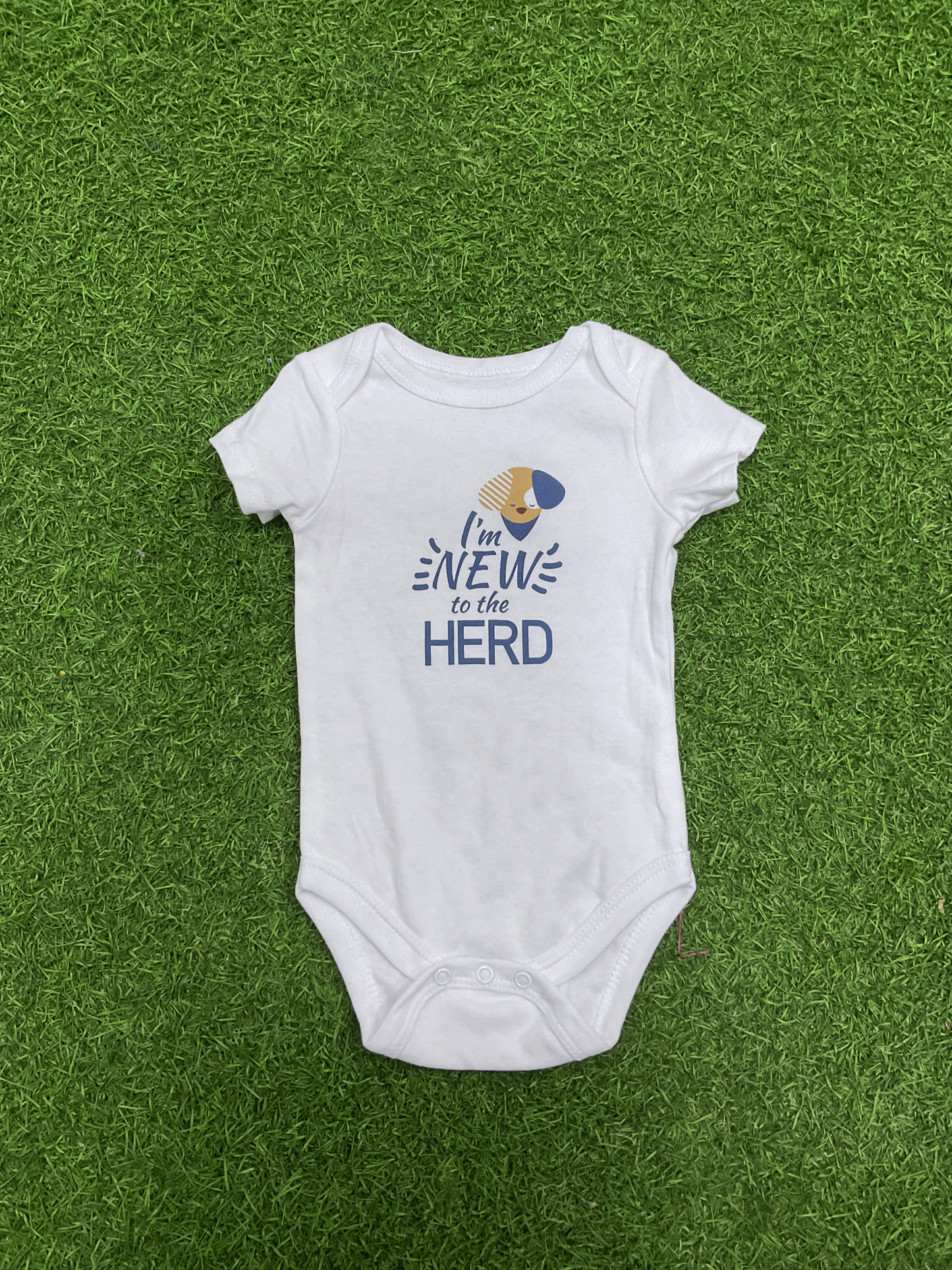 SET DE BODYS - R90934