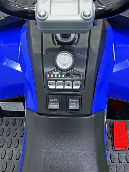 CUATRIMOTO ELECTRICO - NX42