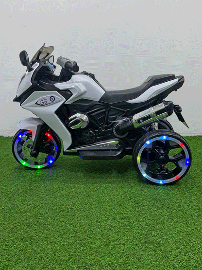 MOTO ELECTRICA - FZ95