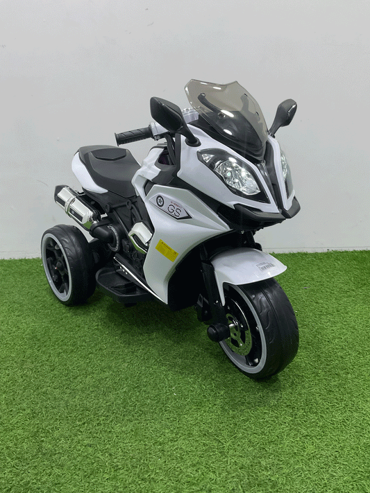 MOTO ELECTRICA - FZ95