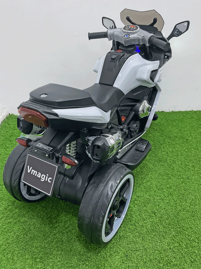 MOTO ELECTRICA - FZ95