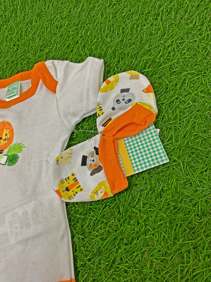 CONJUNTO-16189901