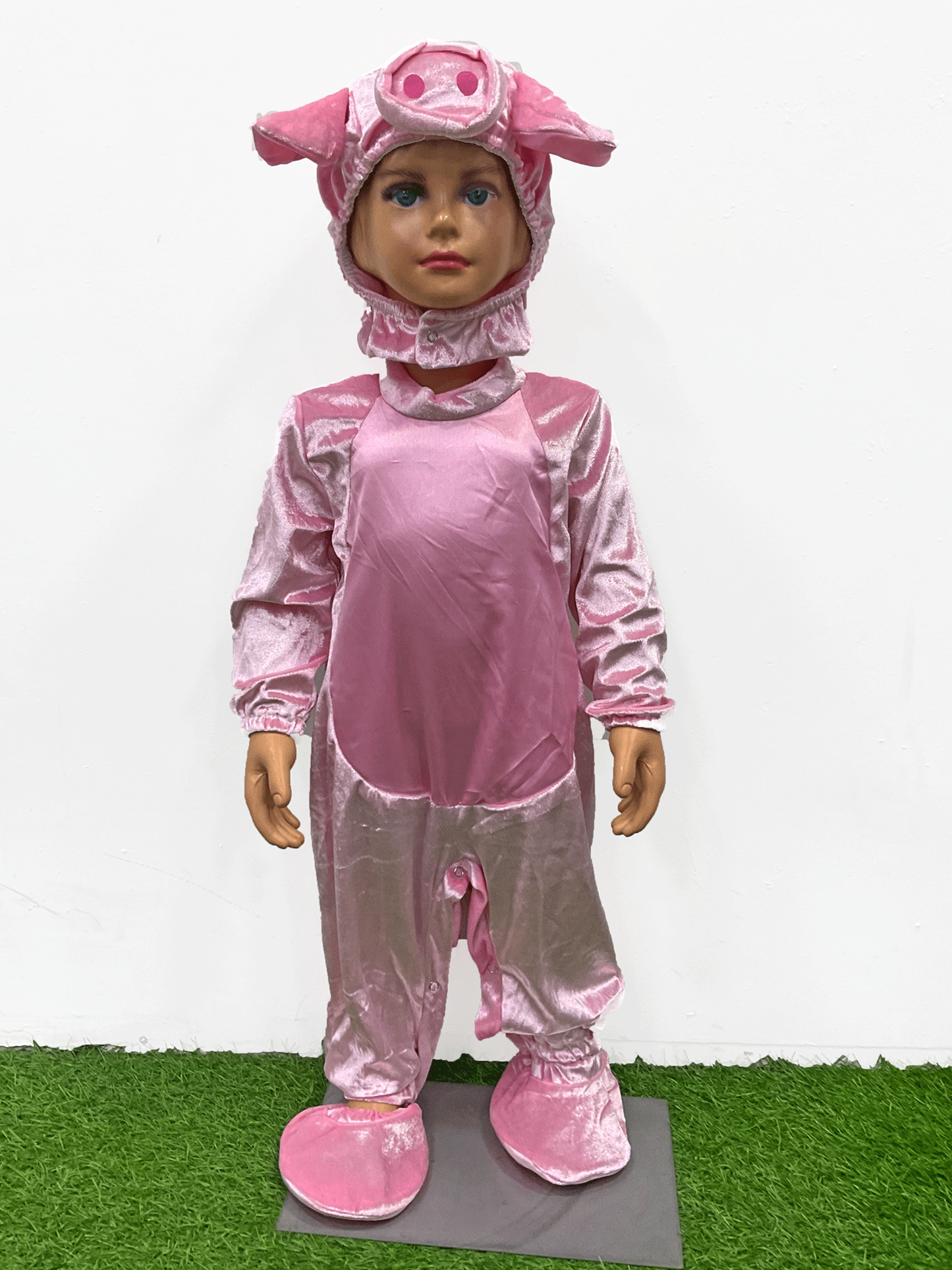 DIZFRAS DE CERDITO - KB034233