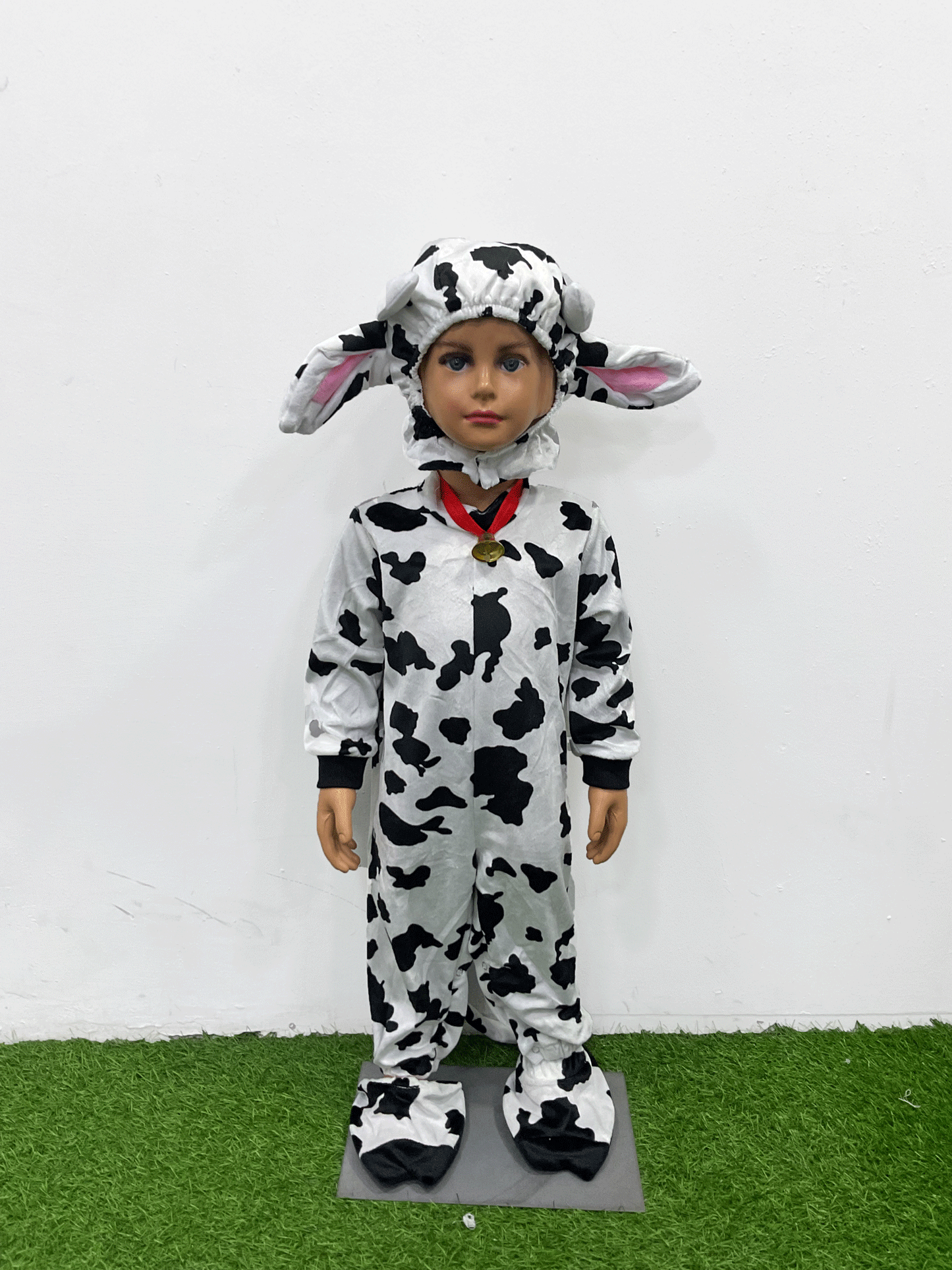 DIZFRAS DE VACA - KB034231