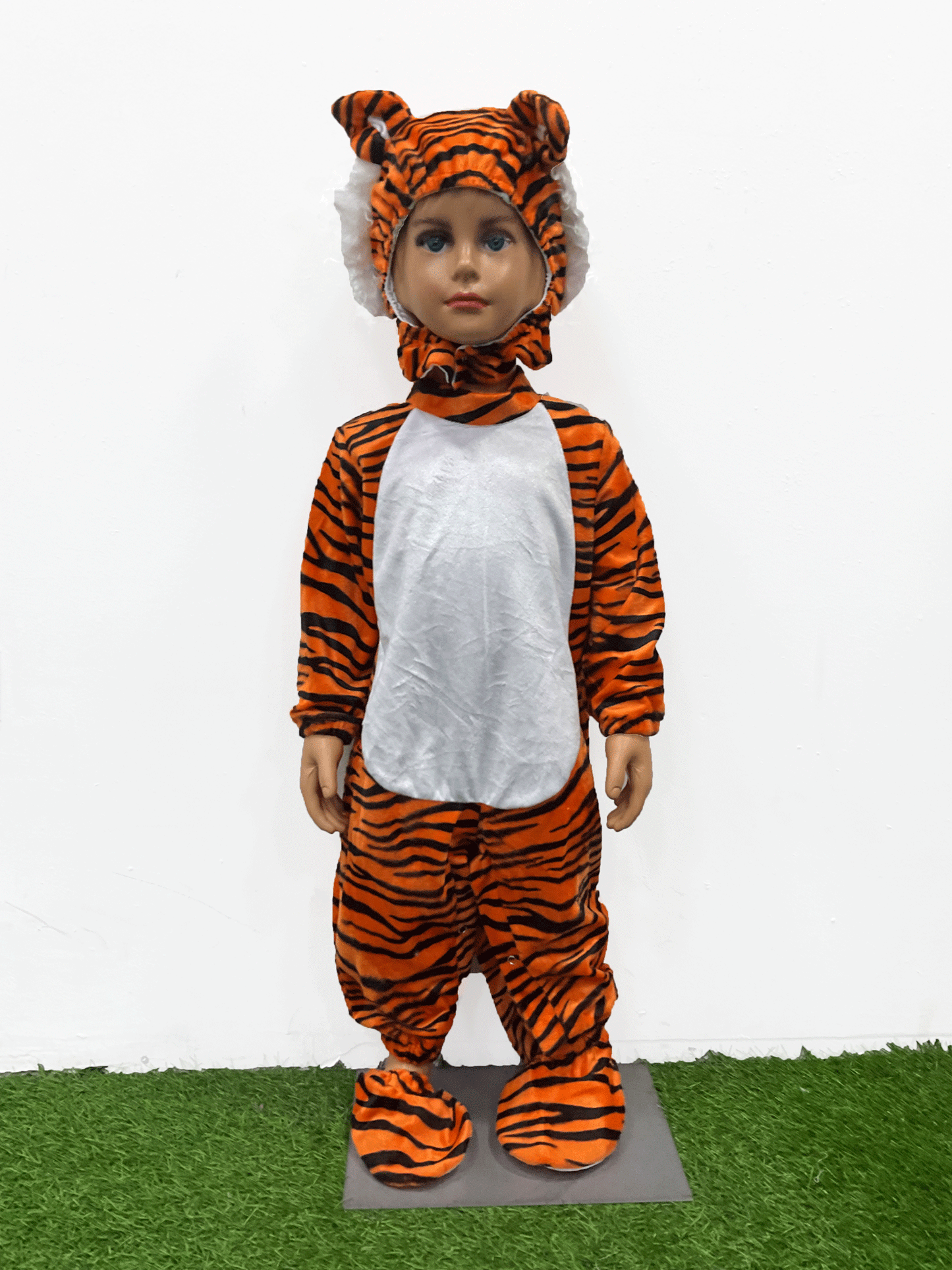 DIZFRAS DE TIGRE - KB034216