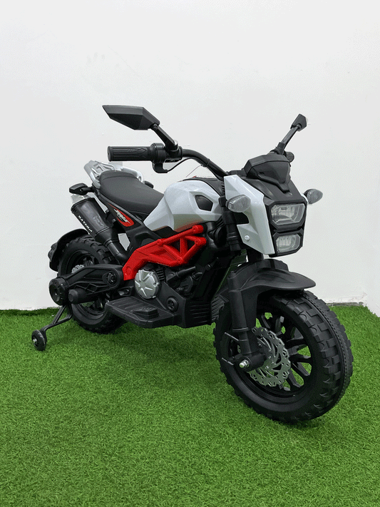 MOTO ELECTRICA - NX37