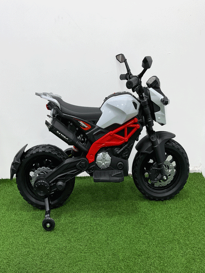 MOTO ELECTRICA - NX37
