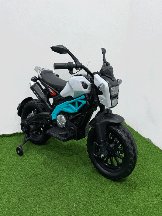 MOTO ELECTRICA - NX37