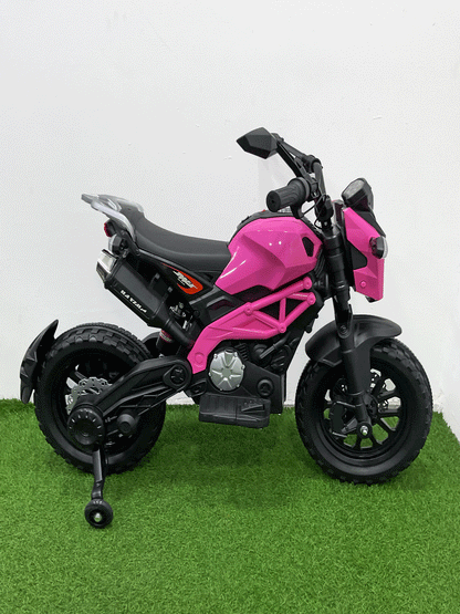 MOTO ELECTRICA - NX37