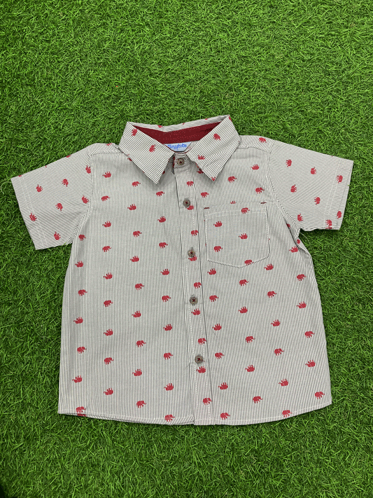 CAMISA - D61001TT