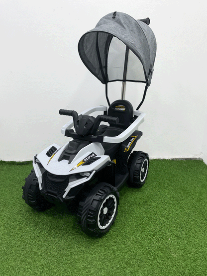 CARRITO MONTABLE CON PASEADOR - HX06