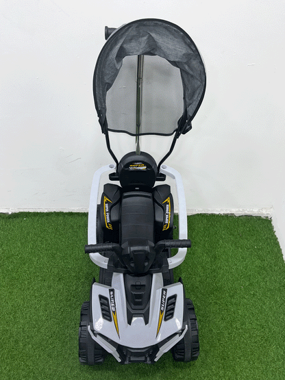 CARRITO MONTABLE CON PASEADOR - HX06