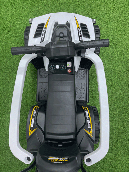 CARRITO MONTABLE CON PASEADOR - HX06