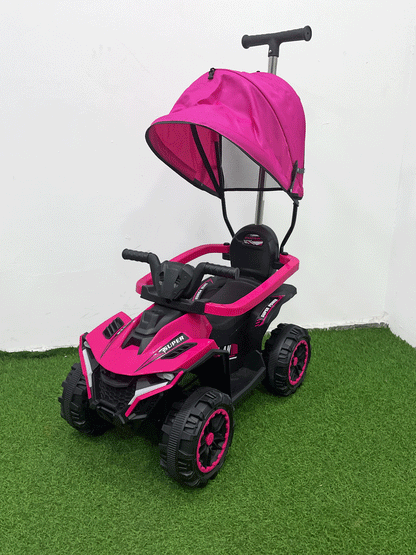 CARRITO MONTABLE CON PASEADOR - HX06