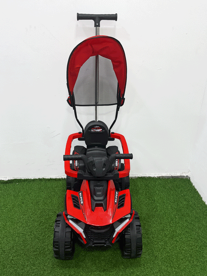 CARRITO MONTABLE CON PASEADOR - HX06