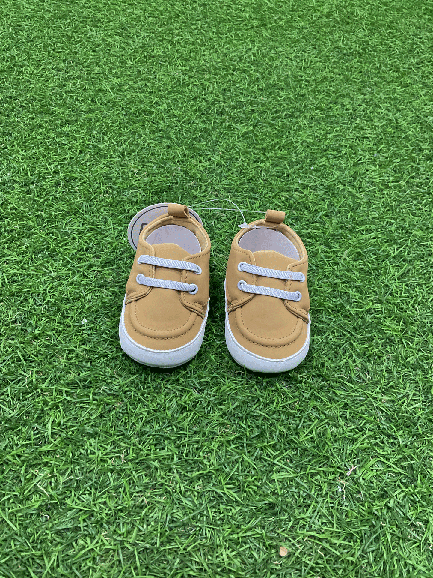 ZAPATOS - C26258