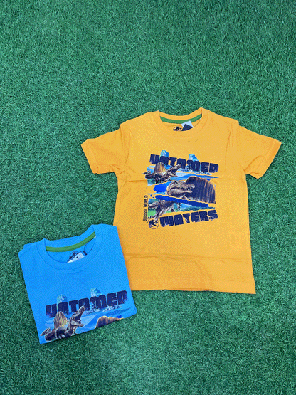 CAMISA - JW0543