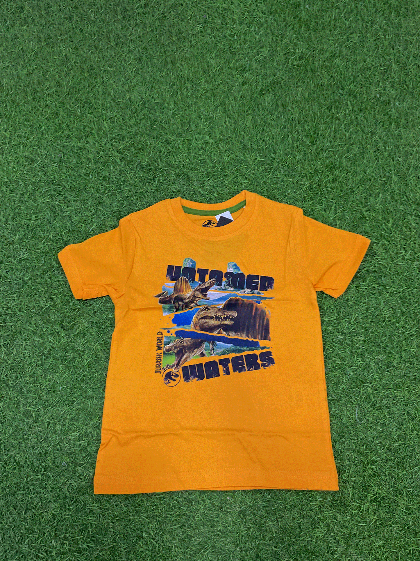 CAMISA - JW0543