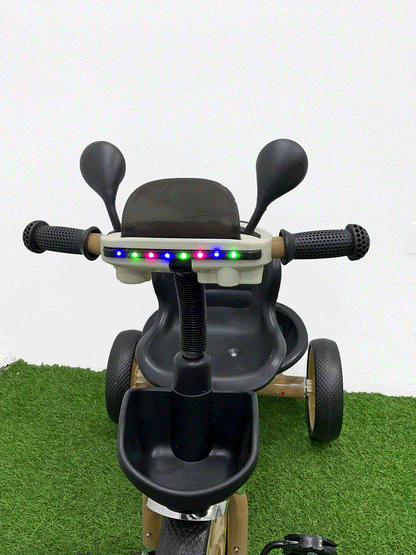 TRICICLO - HX44