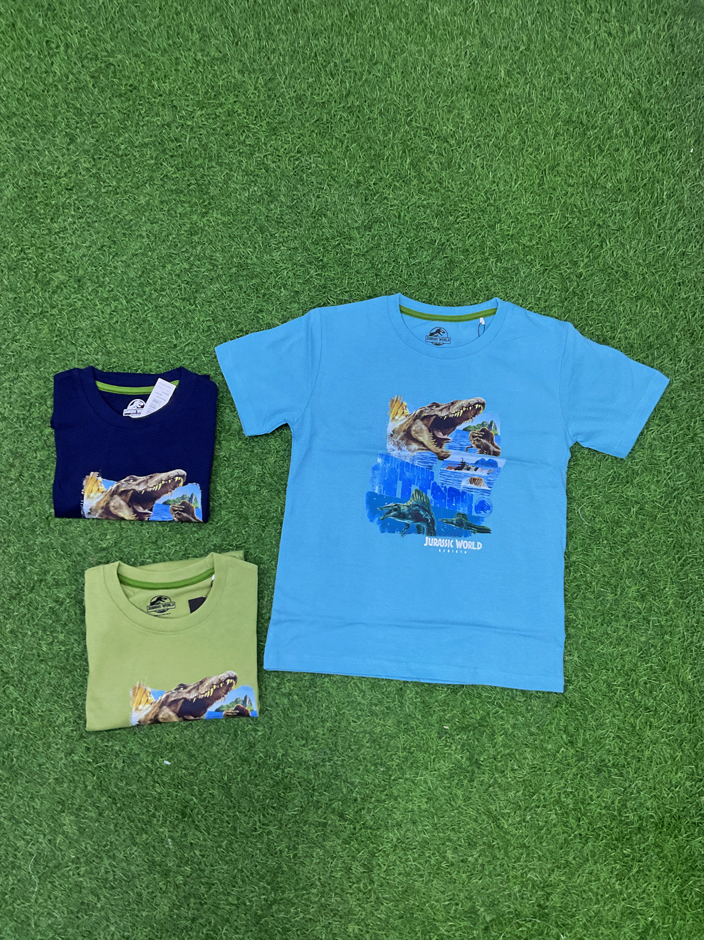 CAMISA - JW0544
