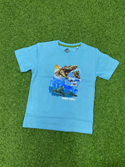 CAMISA - JW0544