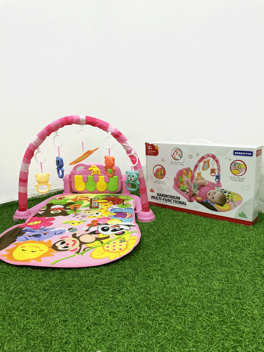 BABY GYM-JGT2
