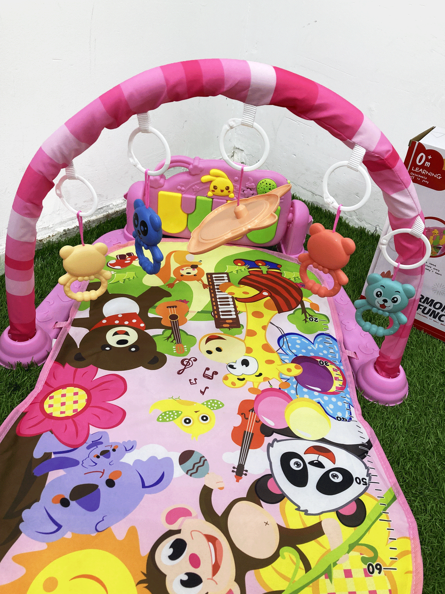 BABY GYM-JGT2