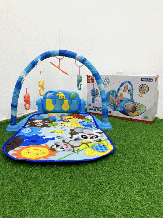 BABY GYM-JGT1