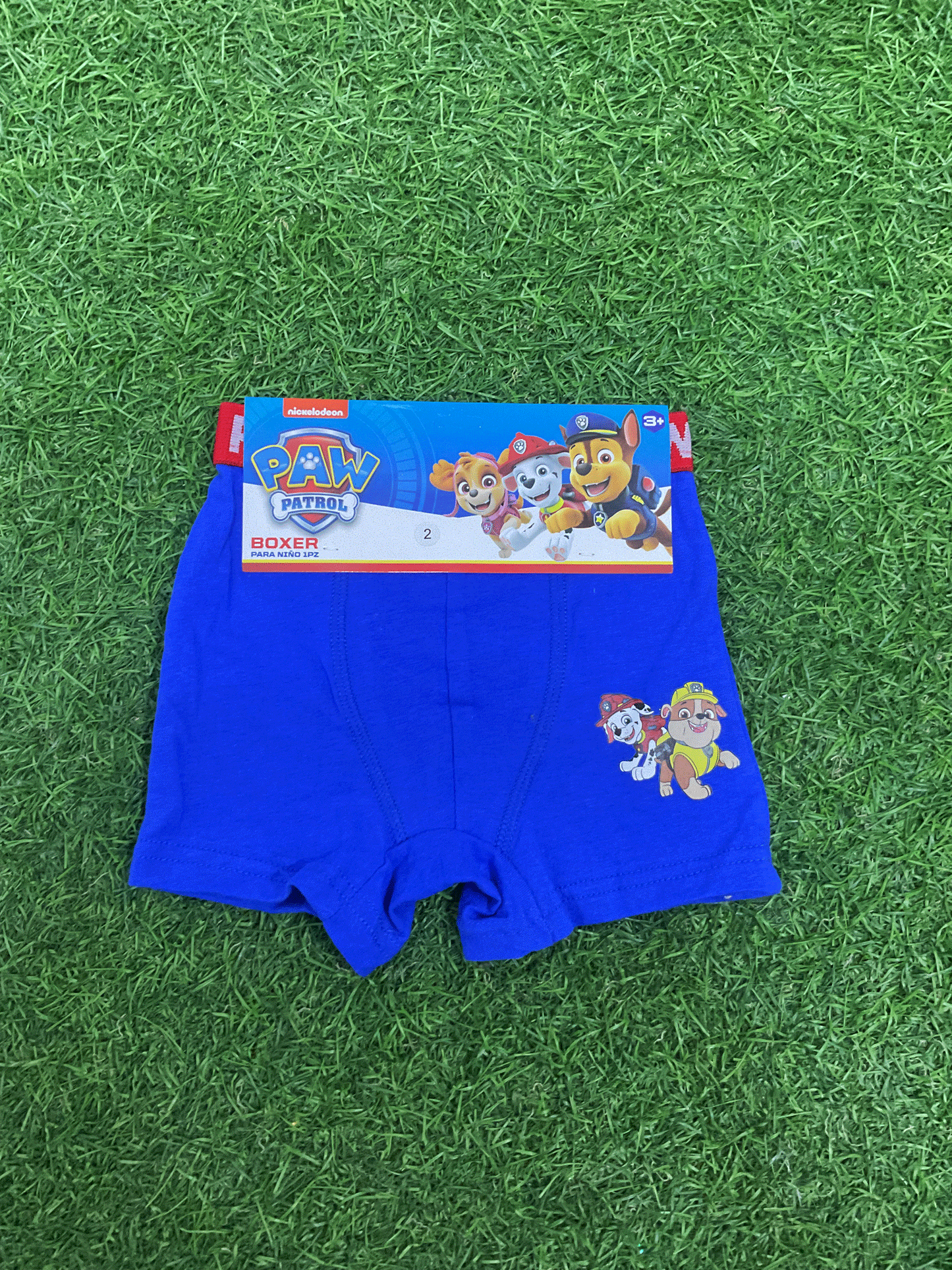 BOXER - 5030292