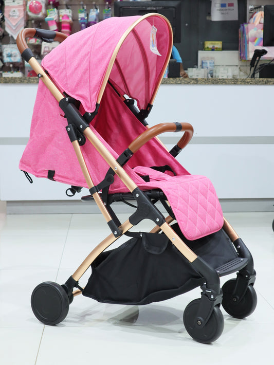 Coche maleta - Aston