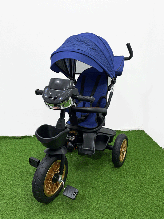 TRICICLO PASEADOR - HX53