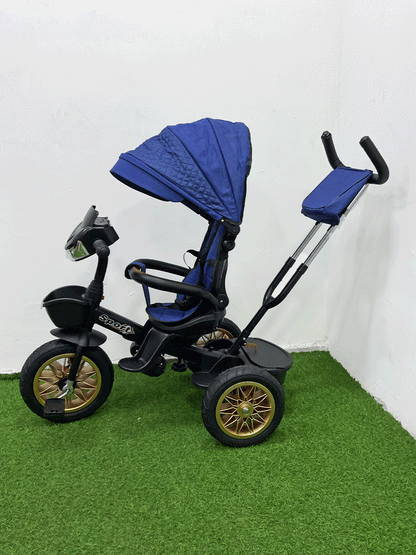 TRICICLO PASEADOR - HX53