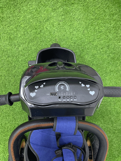 TRICICLO PASEADOR - HX53