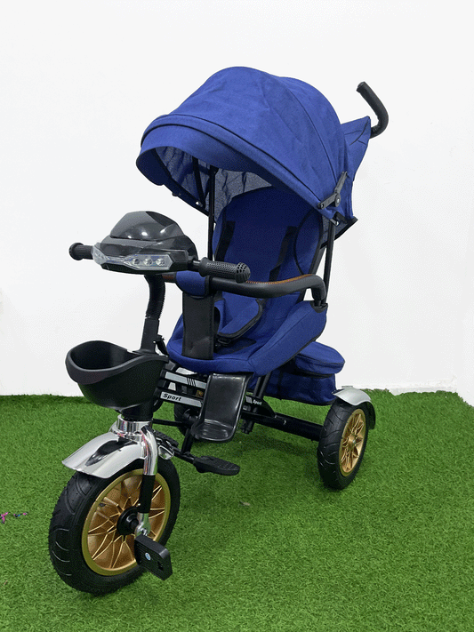TRICICLO PASEADOR - HX54