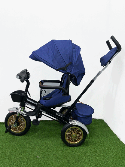 TRICICLO PASEADOR - HX54