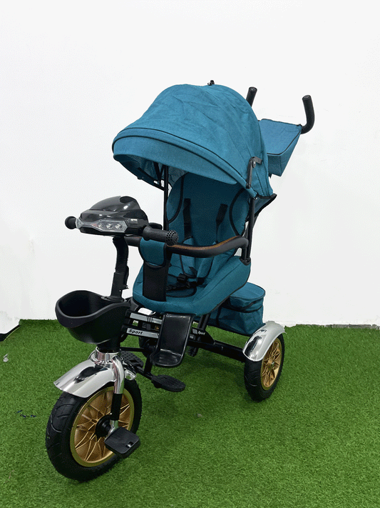 TRICICLO PASEADOR - HX54