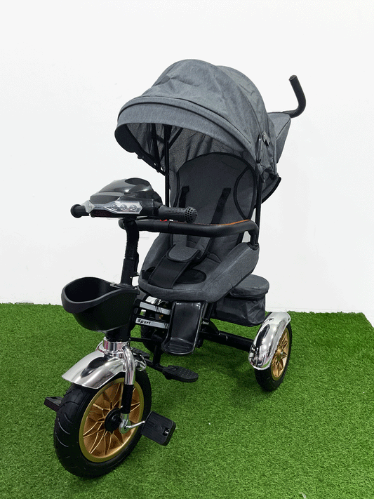 TRICICLO PASEADOR - HX54