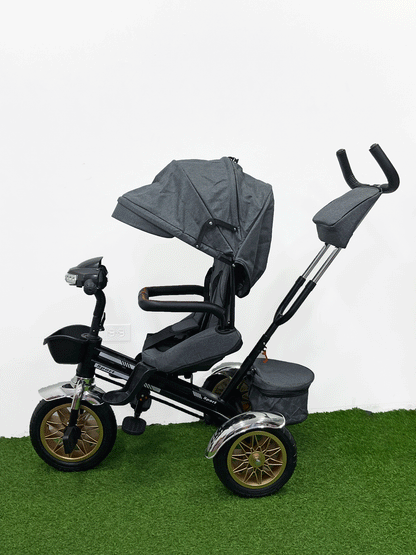 TRICICLO PASEADOR - HX54