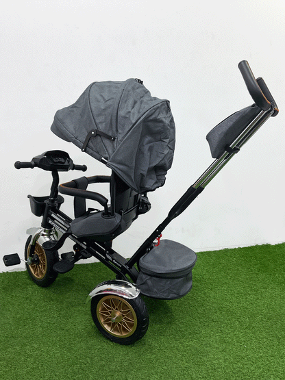 TRICICLO PASEADOR - HX54