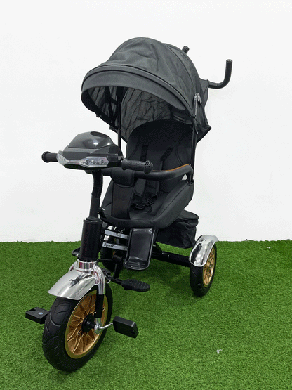 TRICICLO PASEADOR - HX54