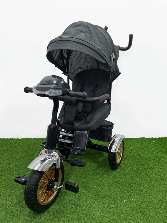 TRICICLO PASEADOR - HX54