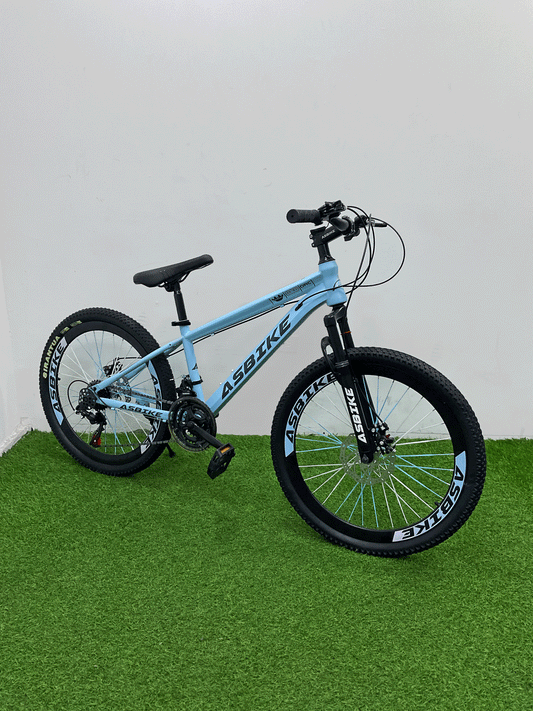 BICICLETA RIN 24 -HX29