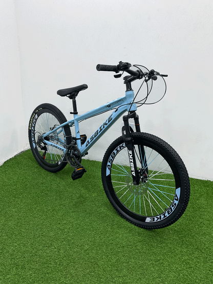 BICICLETA RIN 24 -HX29