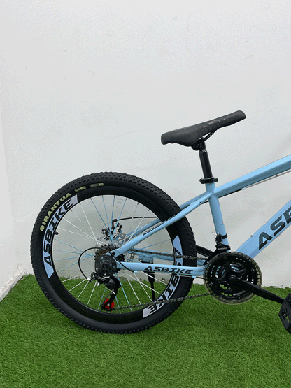 BICICLETA RIN 24 -HX29