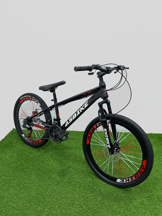 BICICLETA RIN 24 -HX29