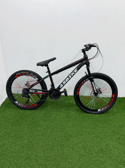 BICICLETA RIN 24 -HX29