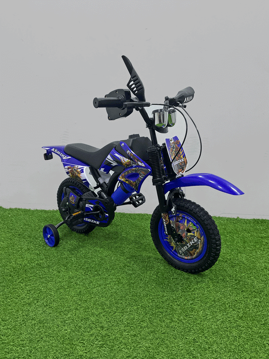 BICICLETA RIN 12 -HX55